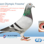 nl15-1715828-foto