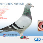 nl16-1534063-foto