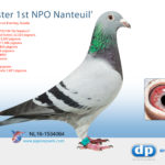 nl16-1534064-foto